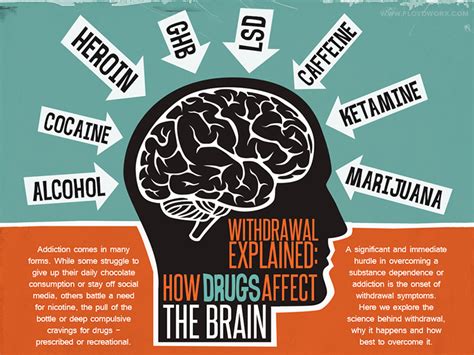 Brain On Drugs Facts
