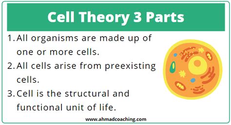 Three Parts Of Cell Theory Biology Dictionary