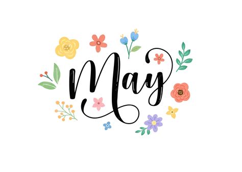 Tipograf A De Letras Del Mes De Mayo Dibujada A Mano Para Portada