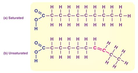 Tj Lipids Are Molecules That Contain Hydrocarbons And Make Up The