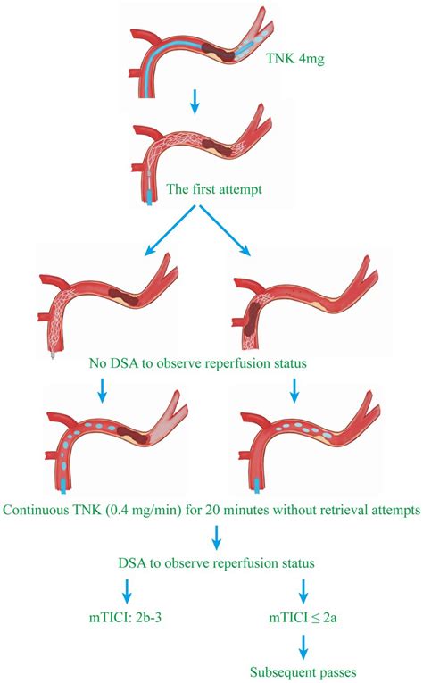 Tnk Medical Abbreviation