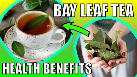 Top 13 Health Benefits Of Bay Leaf Tea You Need To Know Youtube