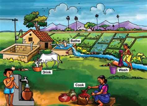 Top 154 Uses Of Water Cartoon Tariquerahman Net