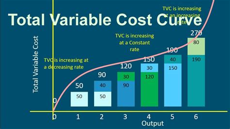 Total Variable Cost Examples Curve Importance