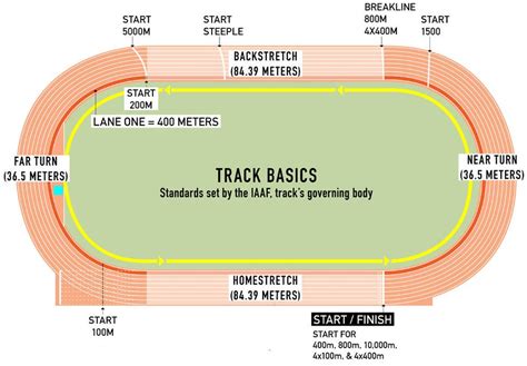 Track And Field Know All The Running Jumping And Throwing Events