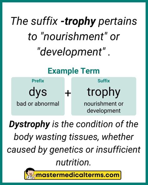 Trophy Trophy Master Medical Terms