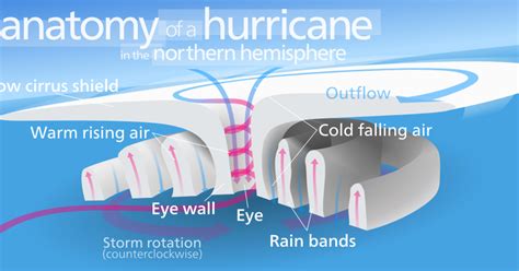 Tropical Definitions Terms You Should Know Hurricanes
