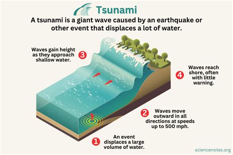 Tsunami Shoaling Process Shallow Waters And Energy Release Waters