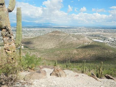 Tumamoc Hill Tucson 2021 All You Need To Know Before You Go Tours