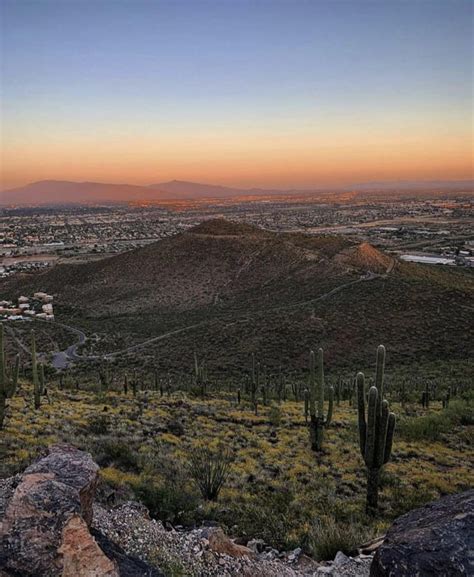 Tumamoc Hill Tucson Hike