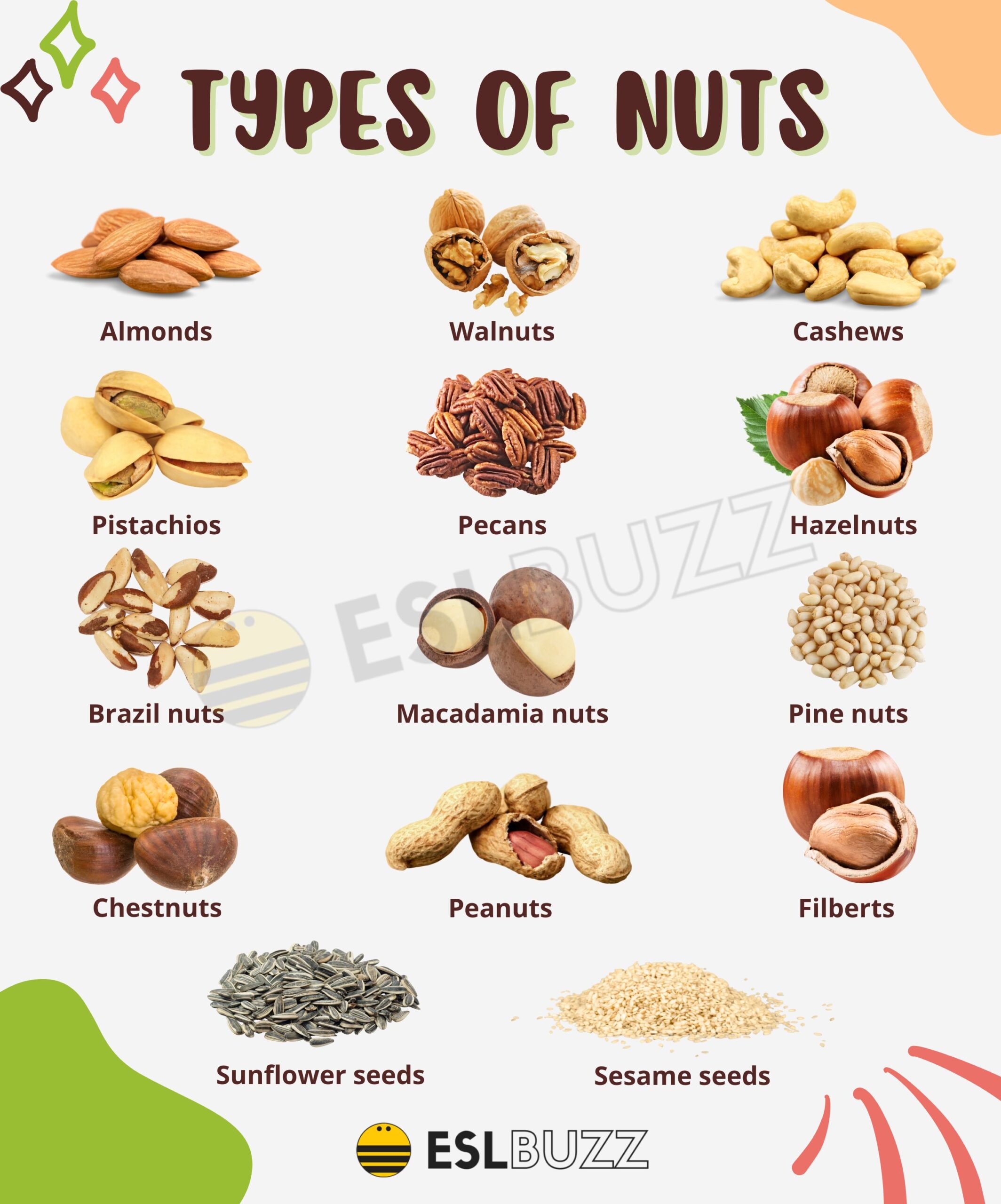 Types Of Tree Nuts
