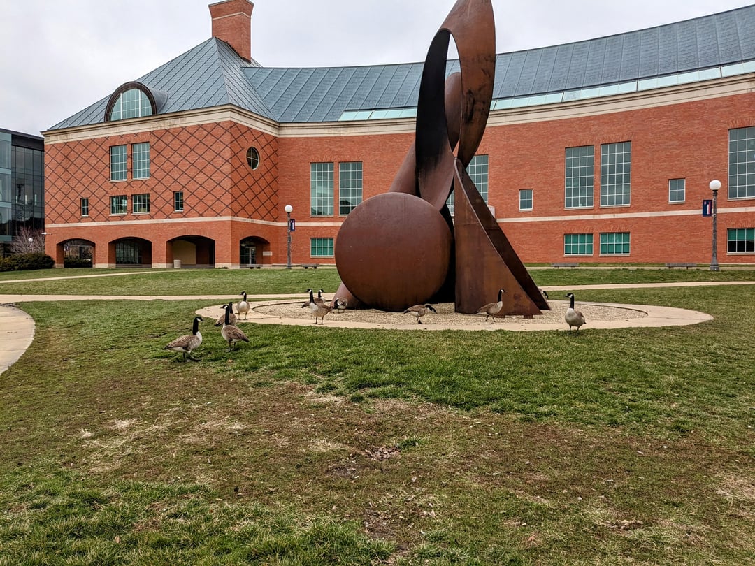 5 UIUC Spring Break Tips