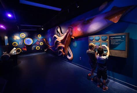 Undersea Discovery Aquarium Exhibit In Tucson Flandrau Science