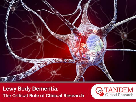 Understanding Lewy Body Dementia The Key Role Of Clinical Research