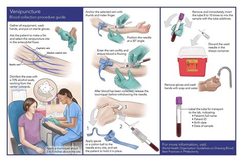 Understanding Para Medical Term E Phlebotomy Training