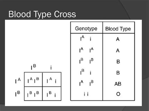 Unit 6 Blood Types And Sex Linked Traits Youtube