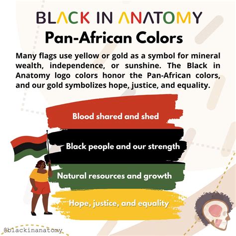 Unraveling The Rich Symbolism African Flag Colors Meaning African Life