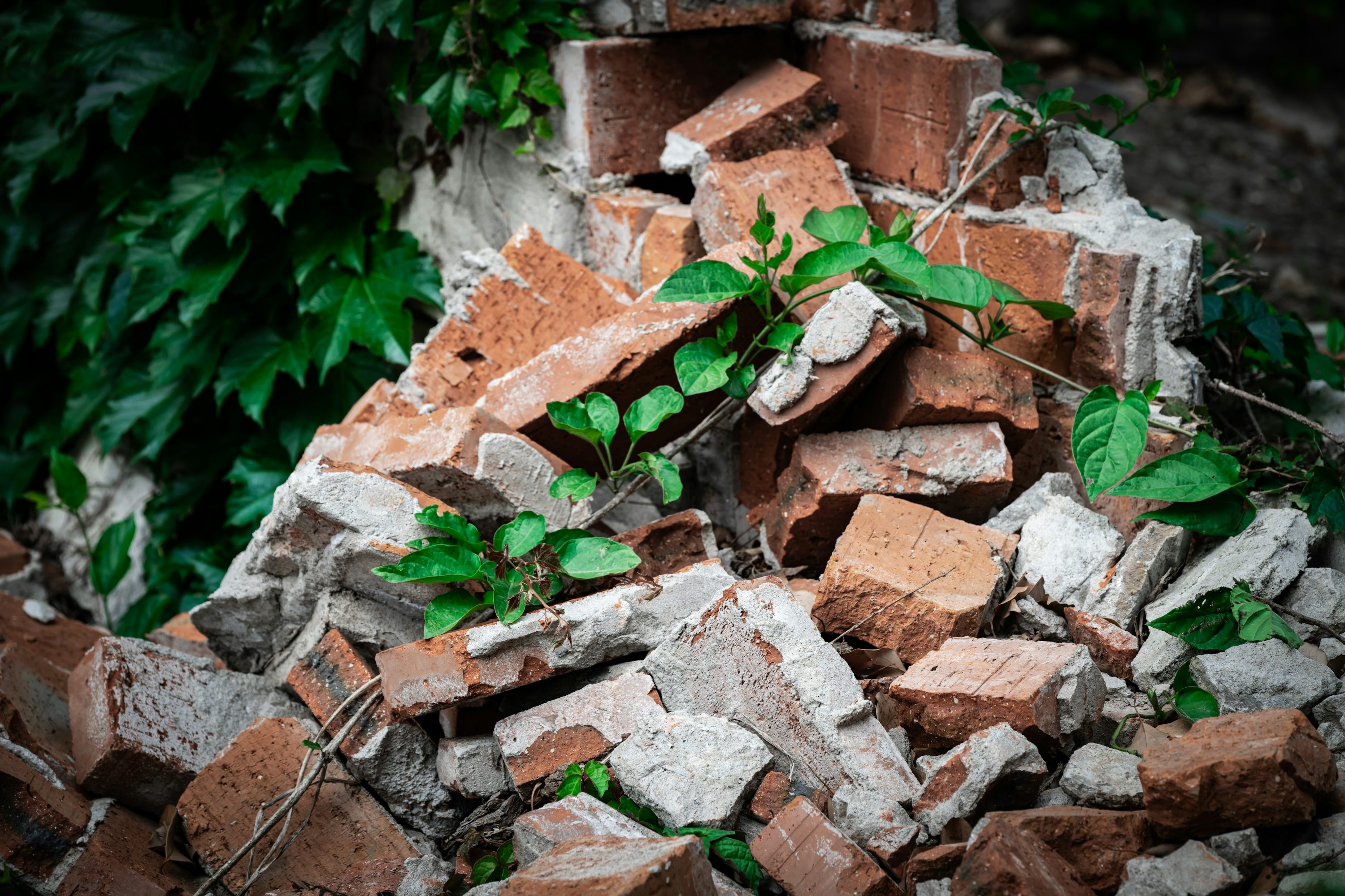 Unveiling The Earth S Tremors A Global Perspective On Earthquakes