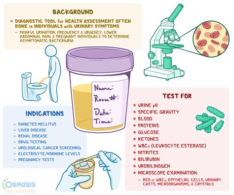 Urinalysis