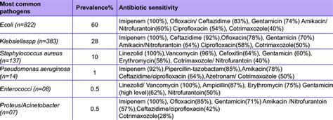 Urinary Tract Infections Uti Antibiogram Microbiology Data N 1370