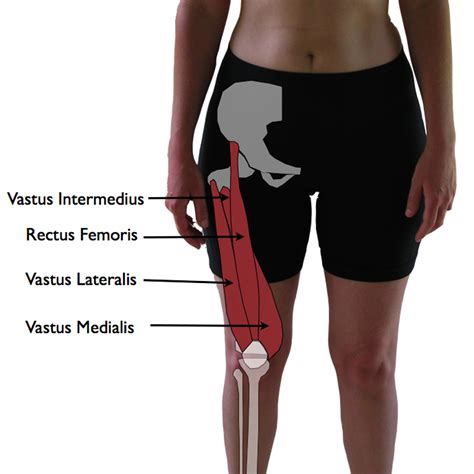 5 Ways To Ease Vastus Lateralis Pain