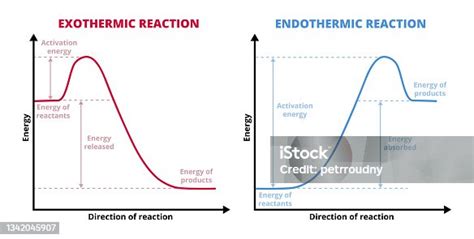 Vecteur Stock Vector Graphs Or Charts Of Endothermic And Exothermic