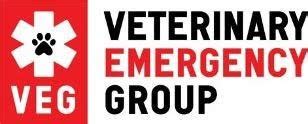 Veterinary Emergency Group Revolutionizes The Pet Er And Opens