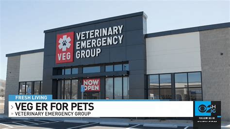 Veterinary Emergency Group Updated November 2024 43 Photos 66
