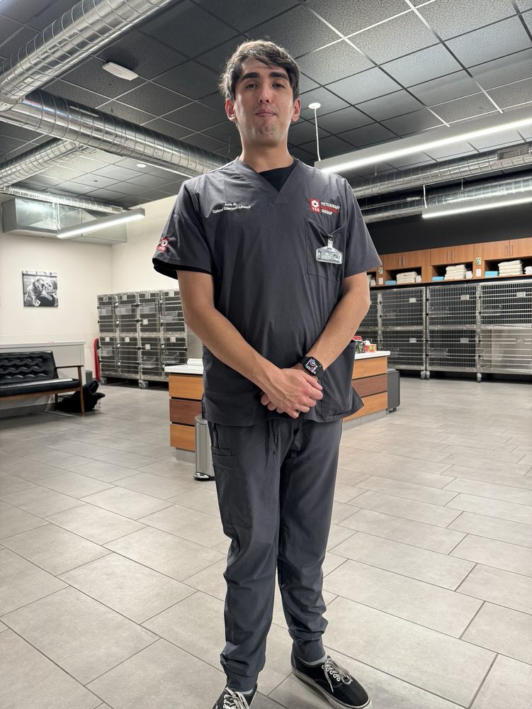 Vetinary Emergency Group