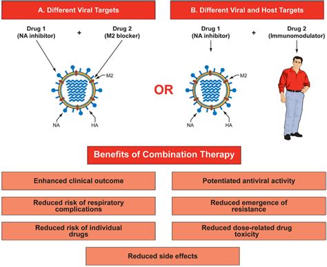 Viruses Free Full Text Combination Chemotherapy For Influenza