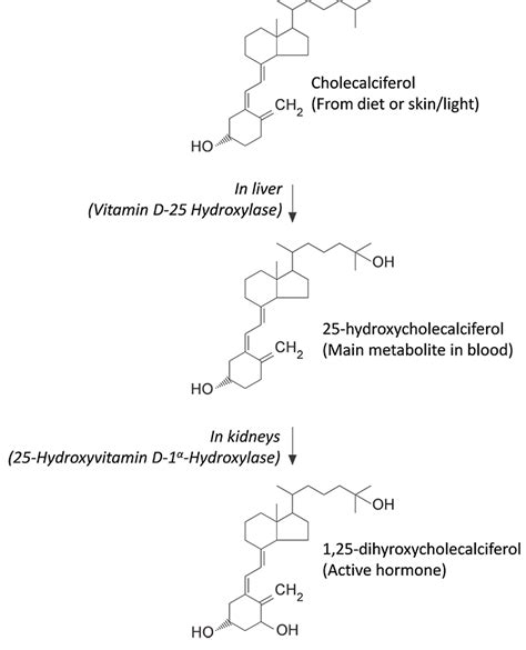 Vitamin D Its Physiology Testing And Relationship With Covid 19