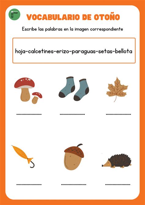 Vocabulario De Oto O Bonitas Tarjetas De Escritura Orientacion Andujar
