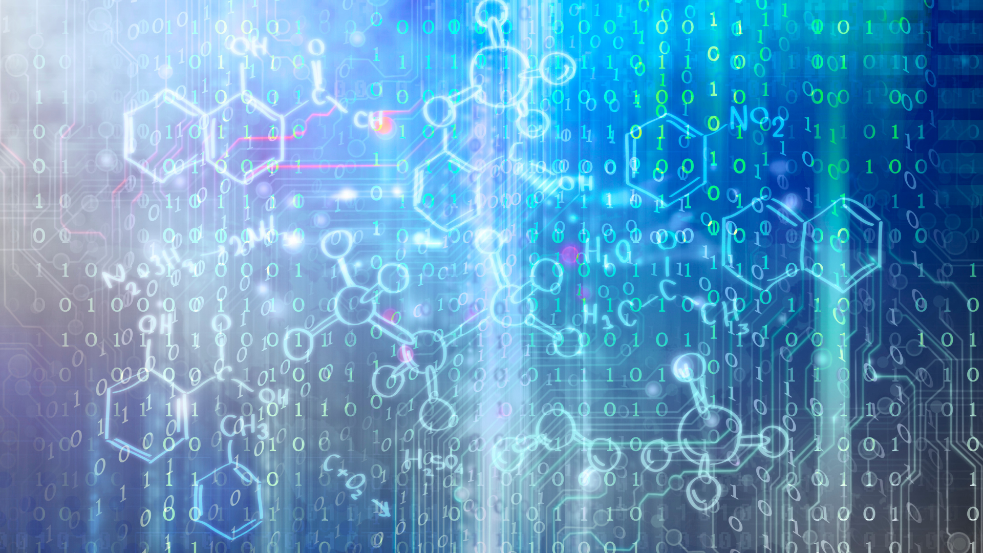 Volunteer Opportunities San Francisco