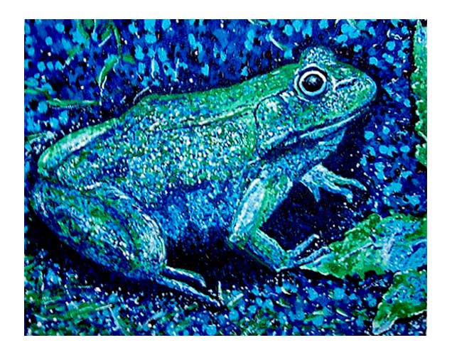 Warm And Cool Colors What They Are Examples More