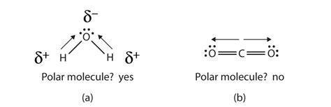 Water Lewis Structure Polarity