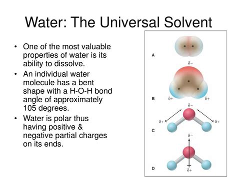 Water The Universal Solvent Ppt Download