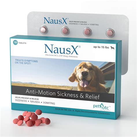 What Anti Nausea Medication Can Dogs Take