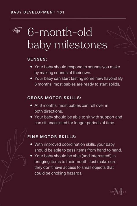 What Are 6 Month Old Baby Milestones At Fred Joe Blog