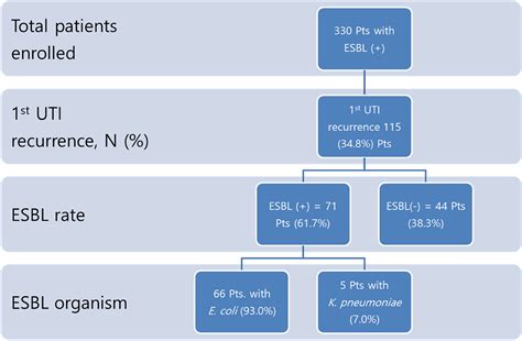 What Are The Risk Factors For Recurrent Uti With Repeated Esbl