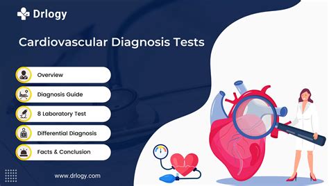 What Are The Types Of Cardiovascular Examination