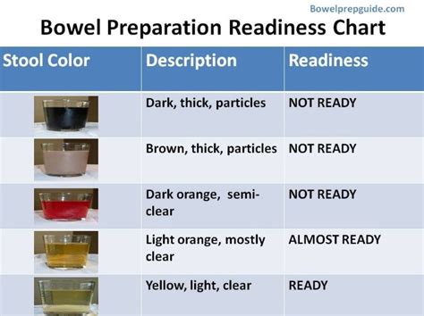 What Color Should Bowel Movement Be After Colonoscopy Prep At Odell