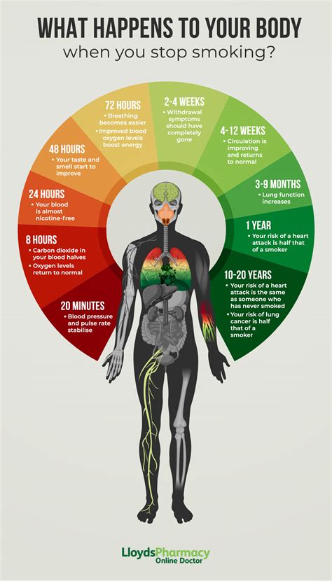 What Happens To Your Body When You Quit Smoking R Coolguides