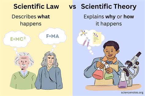 What Is A Law In Science Live Science