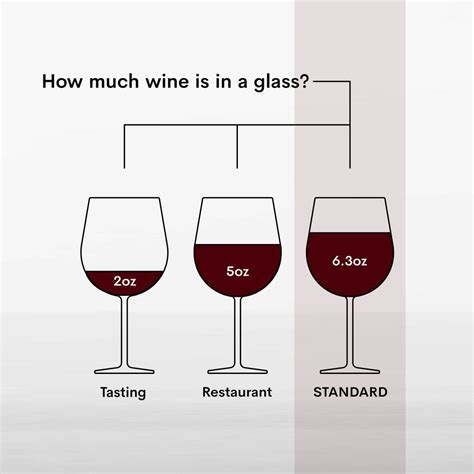 What Is A Standard Pour Of Wine A Guide To Measuring And Etiquette