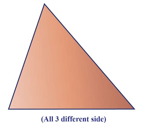 What Is An Acute Triangle Definition Types Resources Vrogue Co