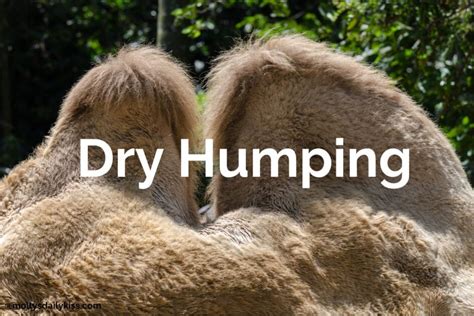 What Is Dry Humping