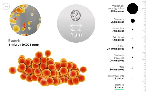 What Is Dust Made Of Dust Particle Sizes Composition Molekule Blog