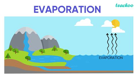 What Is Evaporation Definition Facts Process Examples With Videos