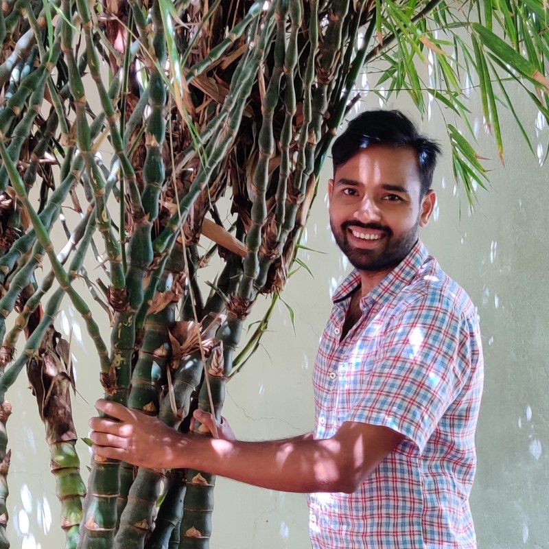 5 Facts About Geosmin