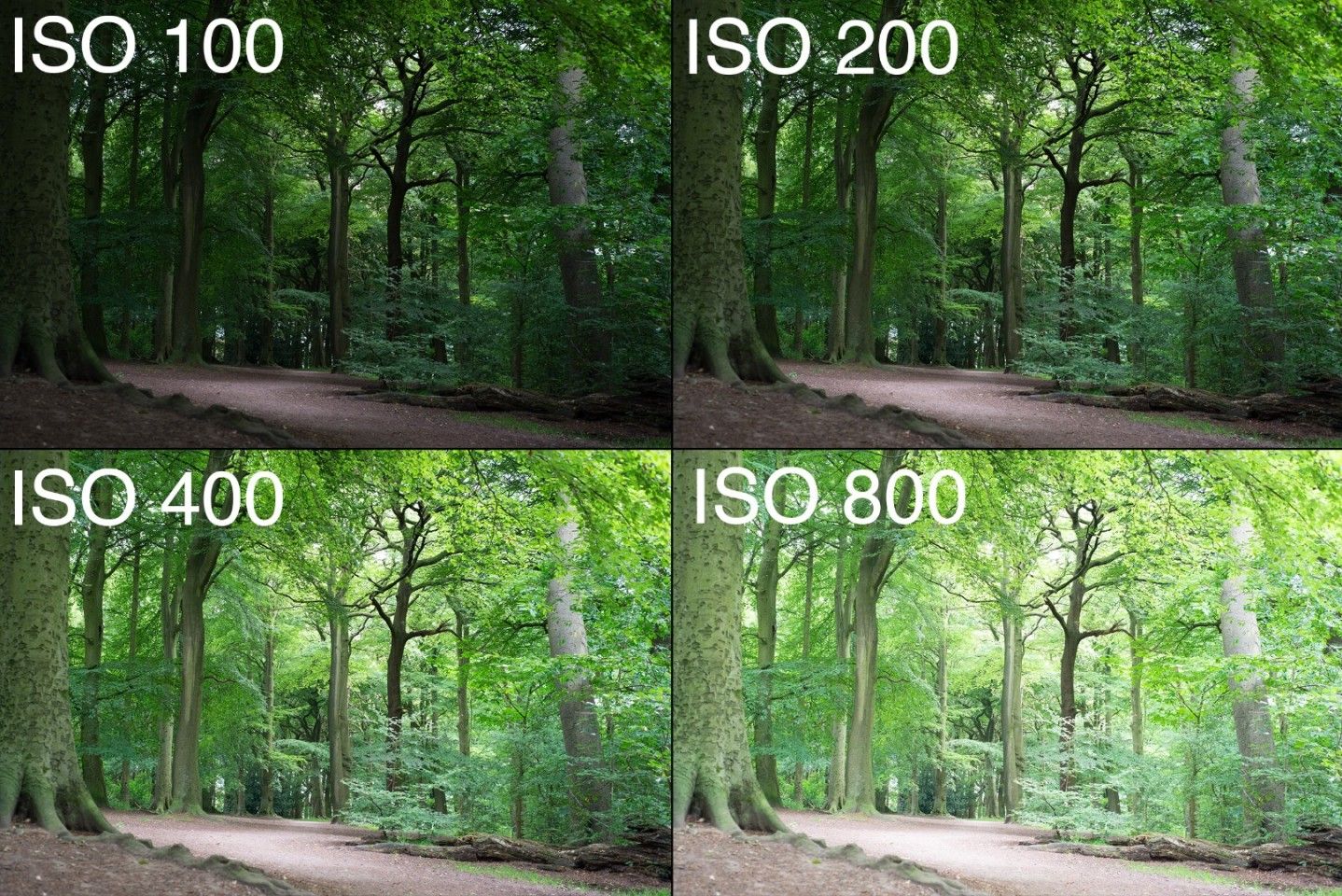 What Is Iso In Photography A Complete Guide To Understanding Iso
